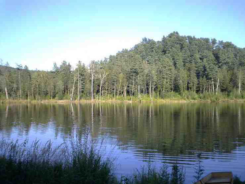 負氧離子監測系統可實現24小時連續采集數據