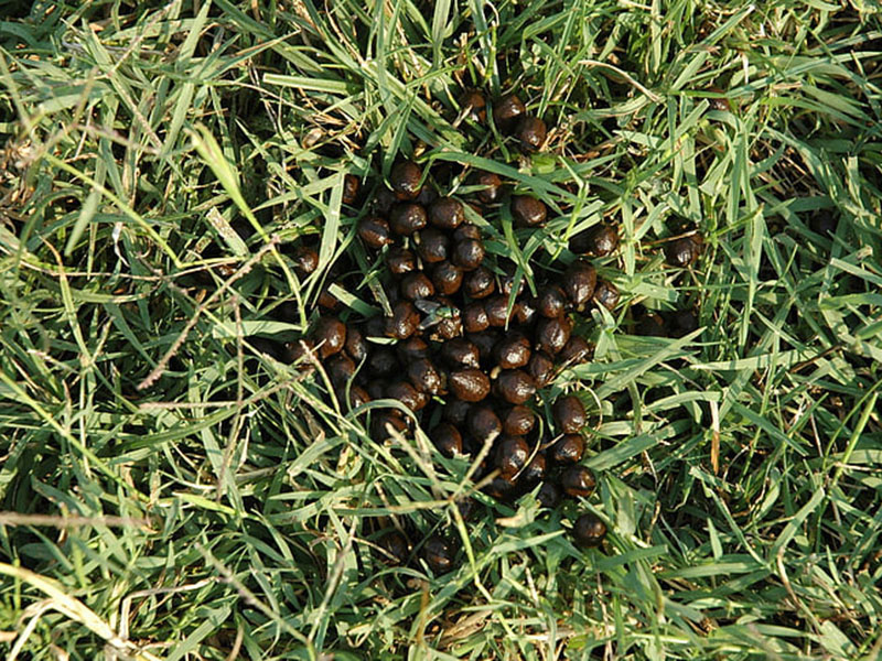 為什么要檢測(cè)肥料中的水分