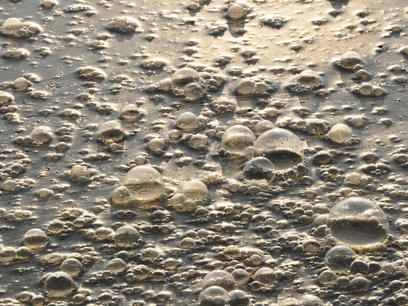 在線COD檢測(cè)儀可滿(mǎn)足各行各業(yè)的監(jiān)測(cè)需求