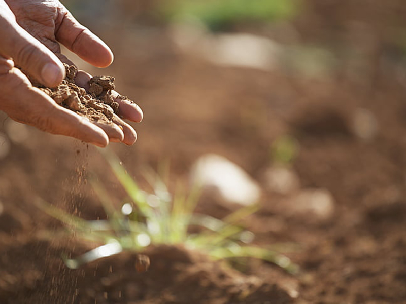 如何檢測土壤重金屬是否超標(biāo)