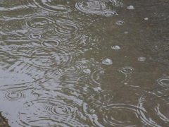 雨量監(jiān)測(cè)儀，提供雨量原始數(shù)據(jù)