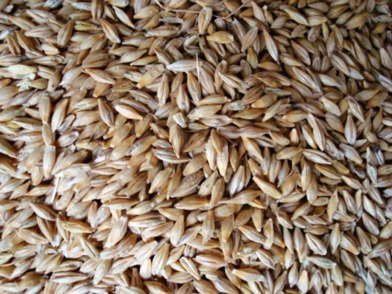 糧食重金屬檢測儀，滿足現場檢測需求